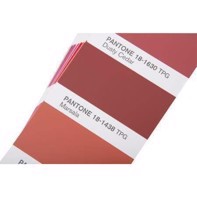 Pantone F&H Color Guide - FHIP110A